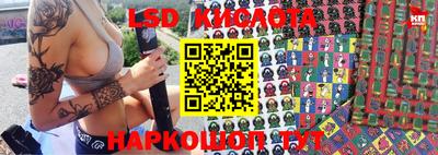индика Лесосибирск