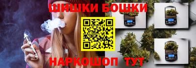 индика Лесосибирск