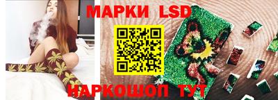 индика Лесосибирск