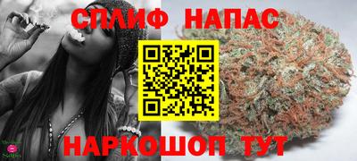 индика Лесосибирск