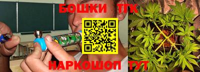 индика Лесосибирск