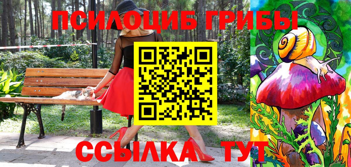 Галлюциногенные грибы Psilocybine cubensis Владикавказ
