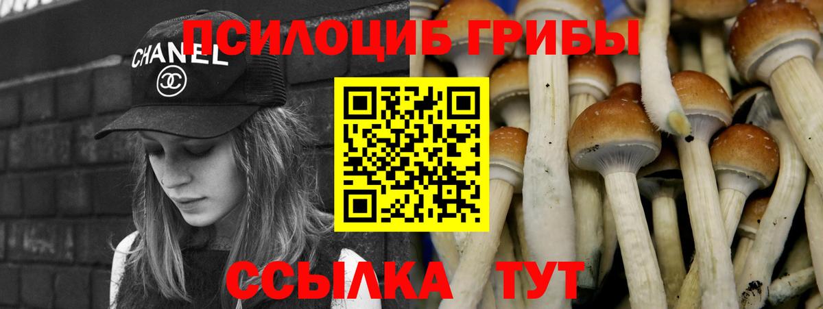 Псилоцибиновые грибы Cubensis  Галлюциногенные грибы мицелий  Владикавказ  Вход с VPN 